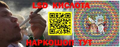крисы Кингисепп