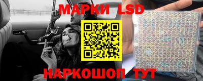 крисы Кингисепп