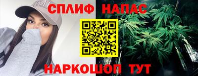спиды Кинель