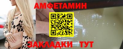 крисы Кингисепп