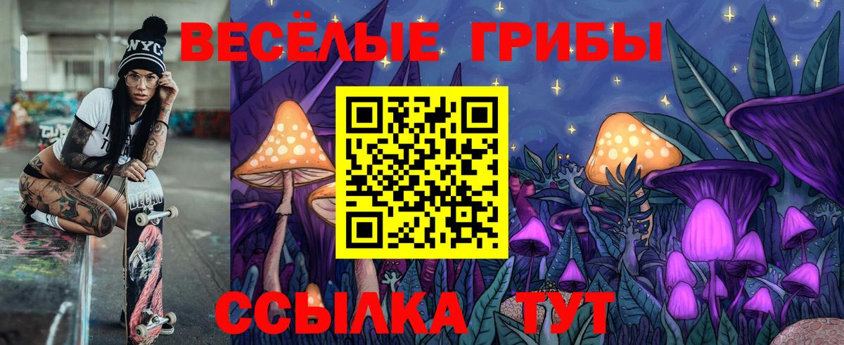Псилоцибиновые грибы Cubensis Кудымкар