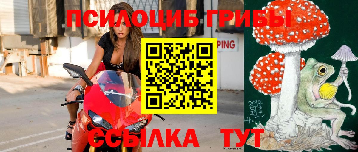 Кудымкар  Галлюциногенные грибы GOLDEN TEACHER  Вход с VPN 